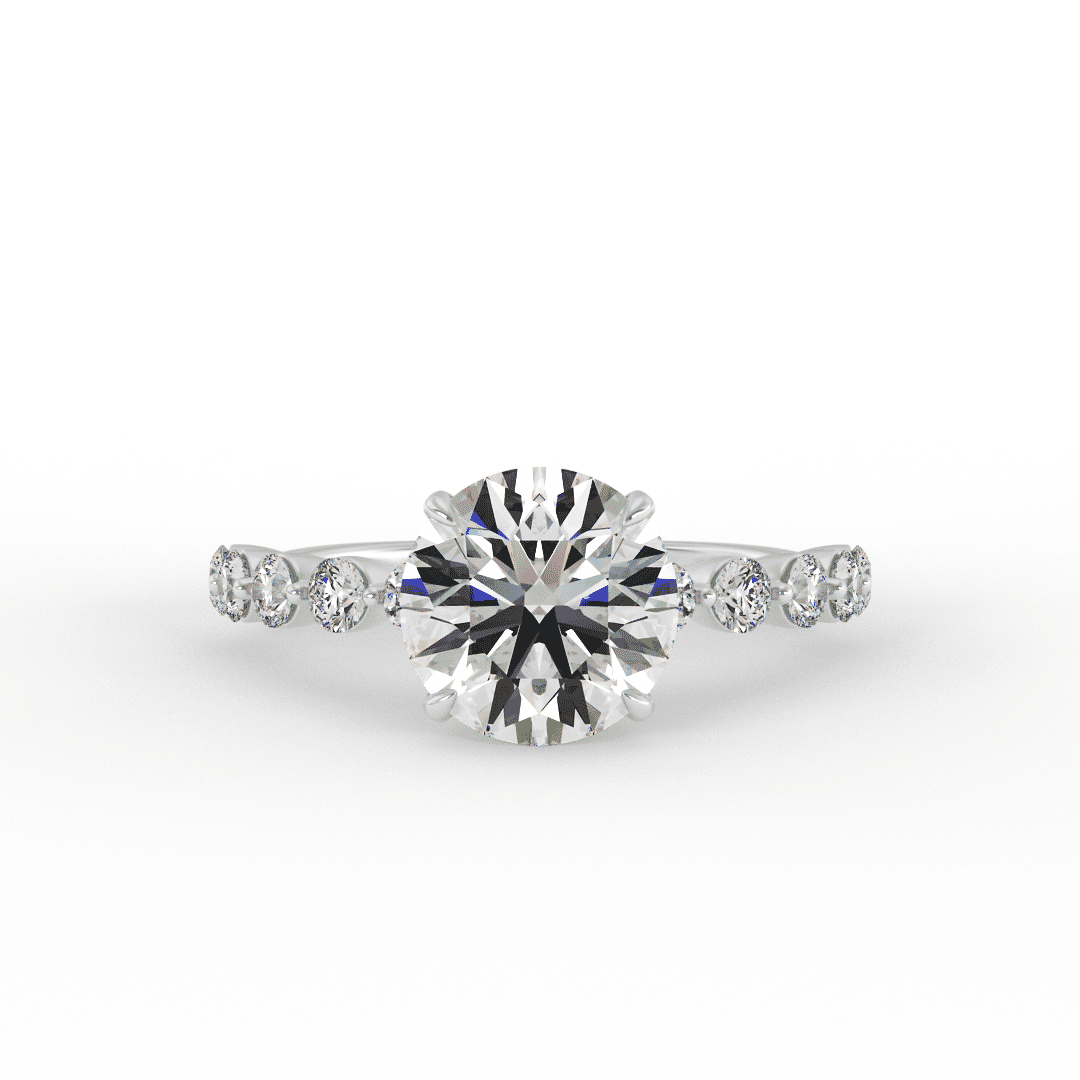 Lab Grown Roni Brilliant Round Engagment Ring – WONDER JEWELERS
